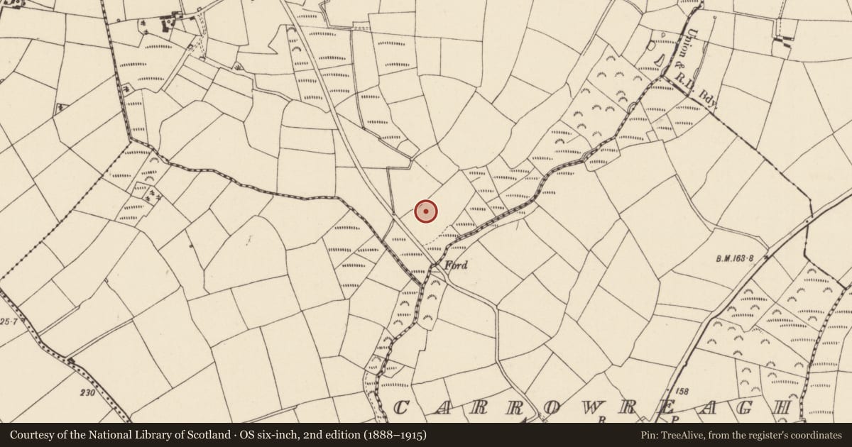 Ordnance Survey six-inch map, 2nd edition (1888–1915) covering the location of Midden, Camaross, County Wexford, with a pin at the register's coordinates