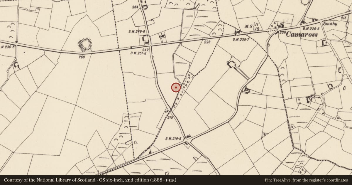 Ordnance Survey six-inch map, 2nd edition (1888–1915) covering the location of Industrial site, Ballyvergin, County Wexford, with a pin at the register's coordinates