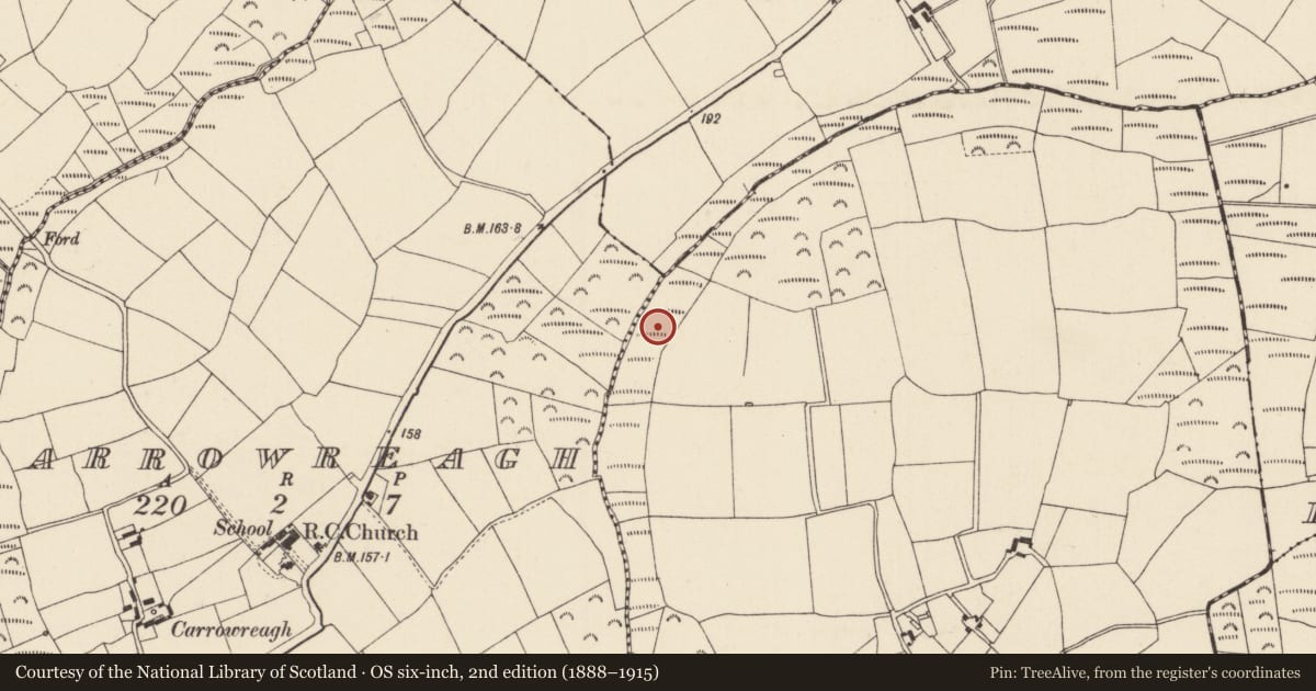 Ordnance Survey six-inch map, 2nd edition (1888–1915) covering the location of Fulacht fia, Dungeer, County Wexford, with a pin at the register's coordinates