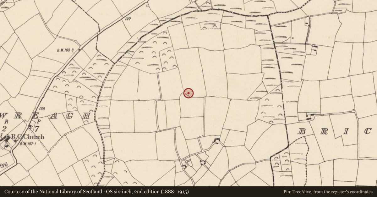 Ordnance Survey six-inch map, 2nd edition (1888–1915) covering the location of Furnace, Dungeer, County Wexford, with a pin at the register's coordinates