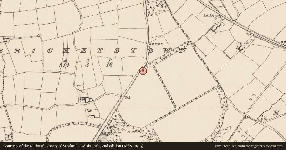 Ordnance Survey six-inch map, 2nd edition (1888–1915) covering the location of Kiln - corn-drying, Bricketstown, County Wexford, with a pin at the register's coordinates
