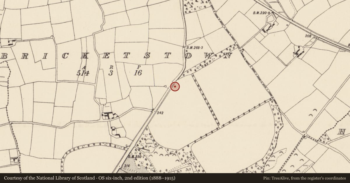 Ordnance Survey six-inch map, 2nd edition (1888–1915) covering the location of Excavation - miscellaneous, Bricketstown, County Wexford, with a pin at the register's coordinates
