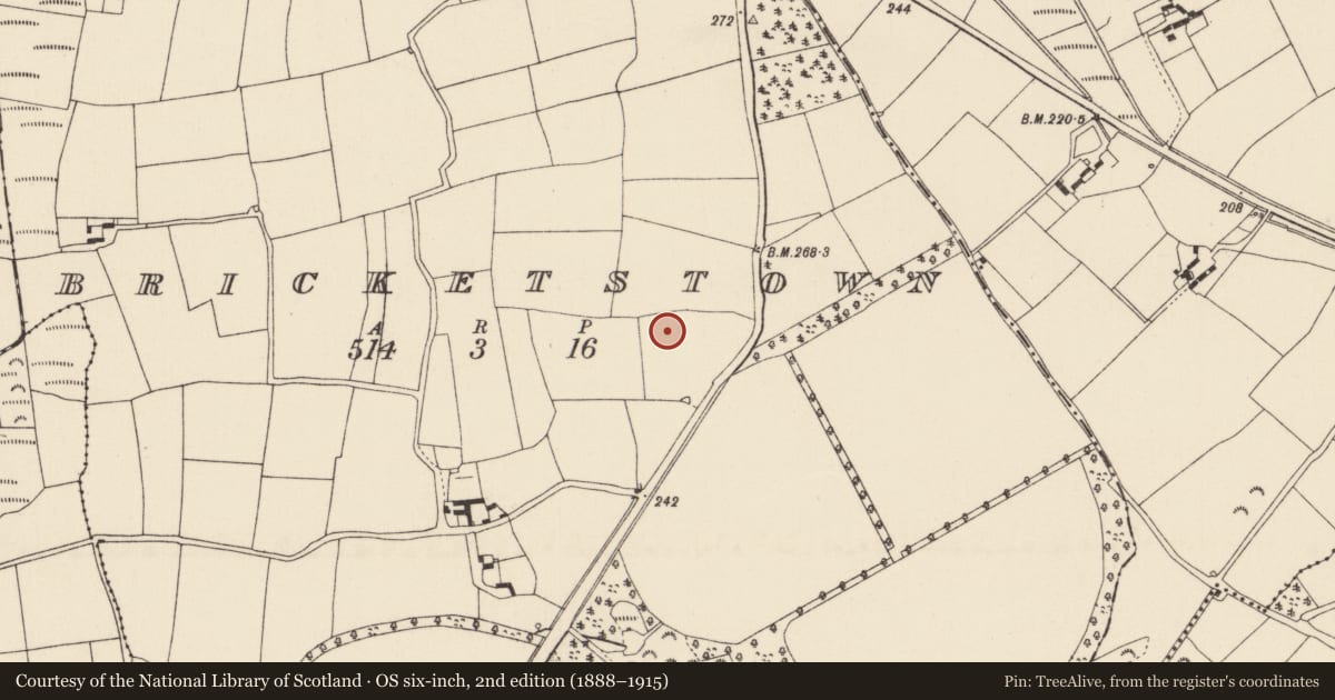 Ordnance Survey six-inch map, 2nd edition (1888–1915) covering the location of Cremated remains, Bricketstown, County Wexford, with a pin at the register's coordinates