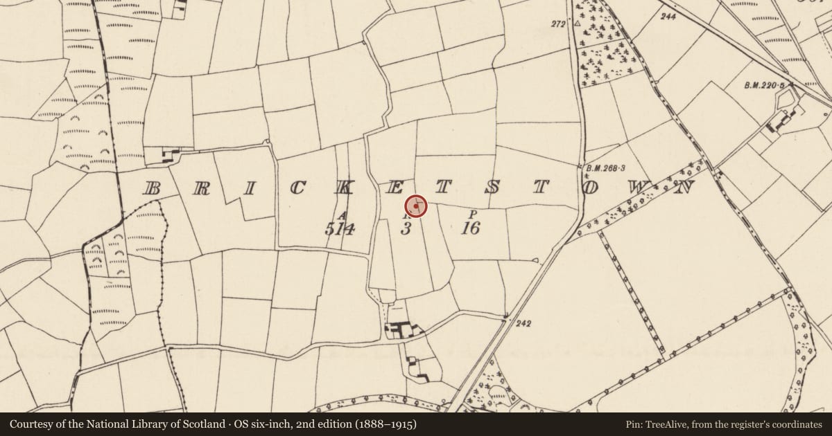 Ordnance Survey six-inch map, 2nd edition (1888–1915) covering the location of Hearth, Bricketstown, County Wexford, with a pin at the register's coordinates