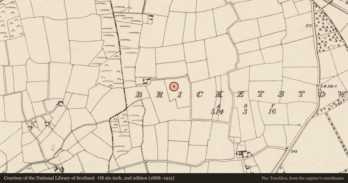 Ordnance Survey six-inch map, 2nd edition (1888–1915) covering the location of Structure, Bricketstown, County Wexford, with a pin at the register's coordinates