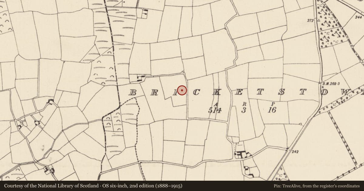 Ordnance Survey six-inch map, 2nd edition (1888–1915) covering the location of Kiln - corn-drying, Bricketstown, County Wexford, with a pin at the register's coordinates