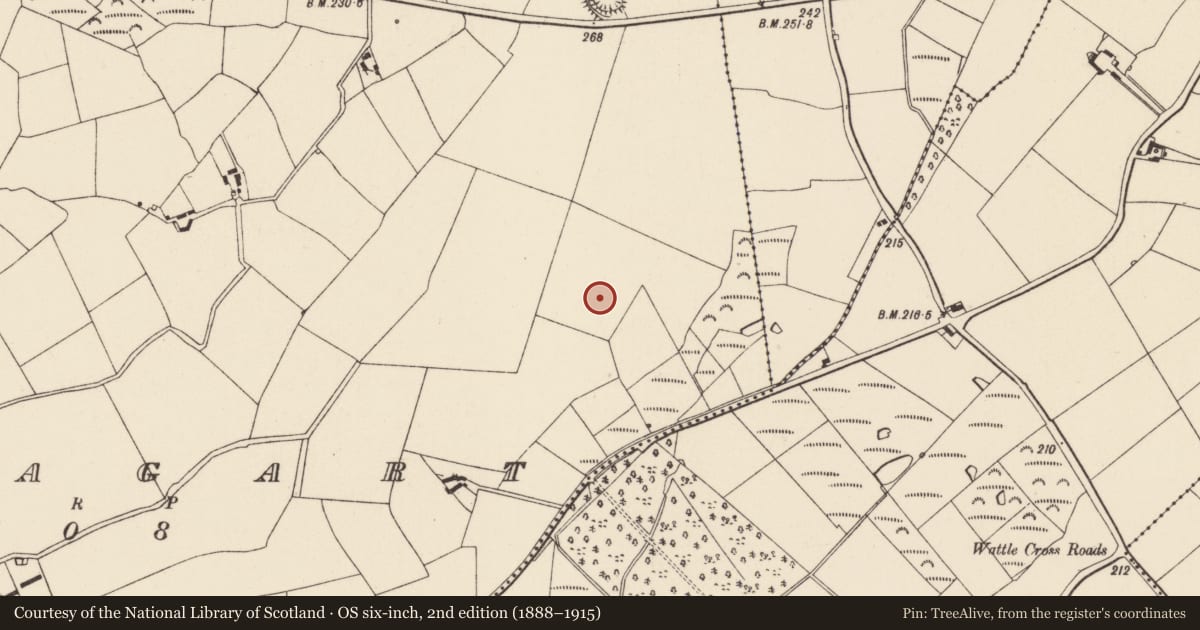 Ordnance Survey six-inch map, 2nd edition (1888–1915) covering the location of Moated site, Assagart, County Wexford, with a pin at the register's coordinates