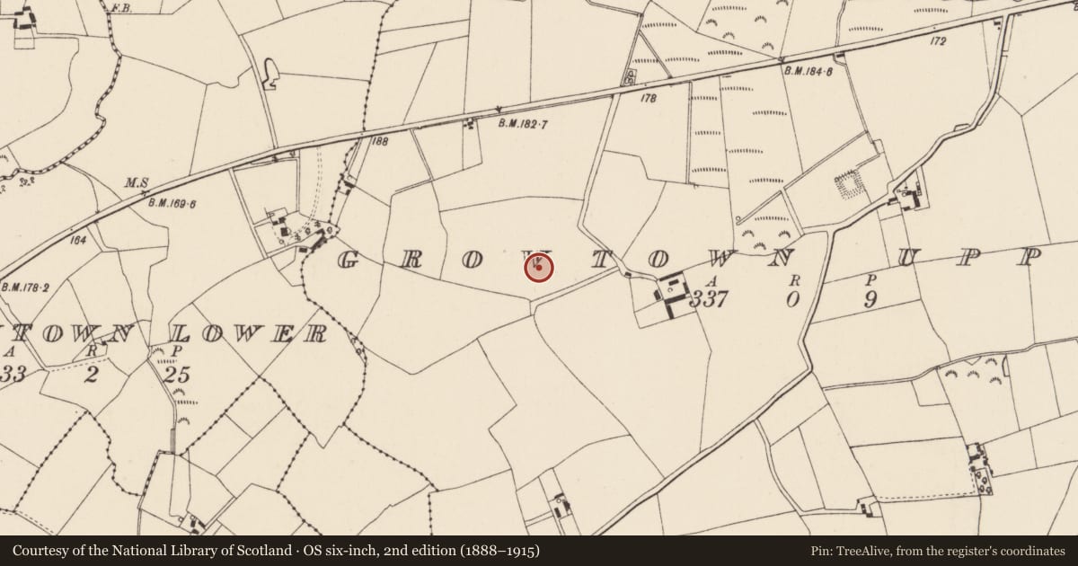 Ordnance Survey six-inch map, 2nd edition (1888–1915) covering the location of Enclosure, Growtown Upper, County Wexford, with a pin at the register's coordinates