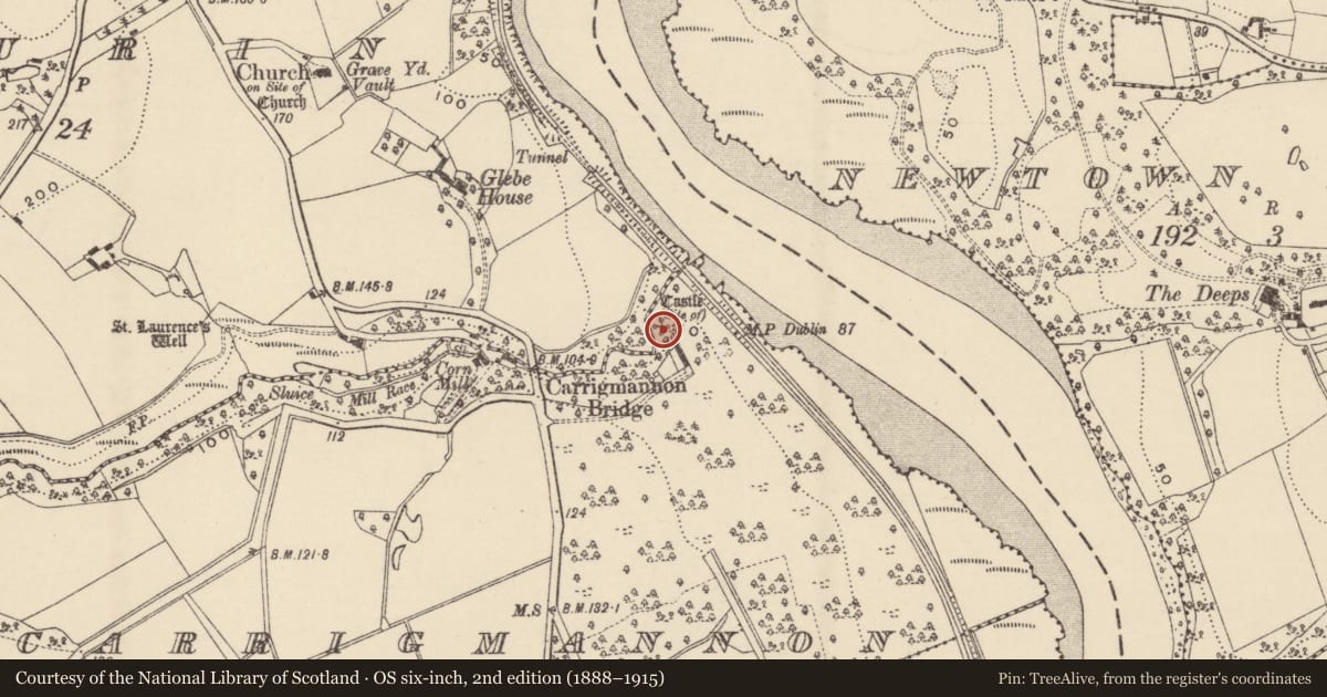 Ordnance Survey six-inch map, 2nd edition (1888–1915) covering the location of Castle - unclassified, Carrigmannon, County Wexford, with a pin at the register's coordinates