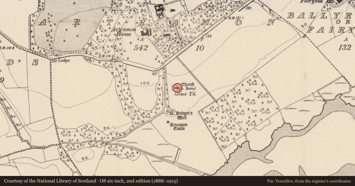 Ordnance Survey six-inch map, 2nd edition (1888–1915) covering the location of Church, Artramon, County Wexford, with a pin at the register's coordinates