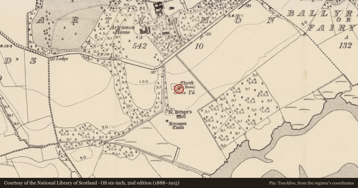 Ordnance Survey six-inch map, 2nd edition (1888–1915) covering the location of Cupmarked stone, Artramon, County Wexford, with a pin at the register's coordinates