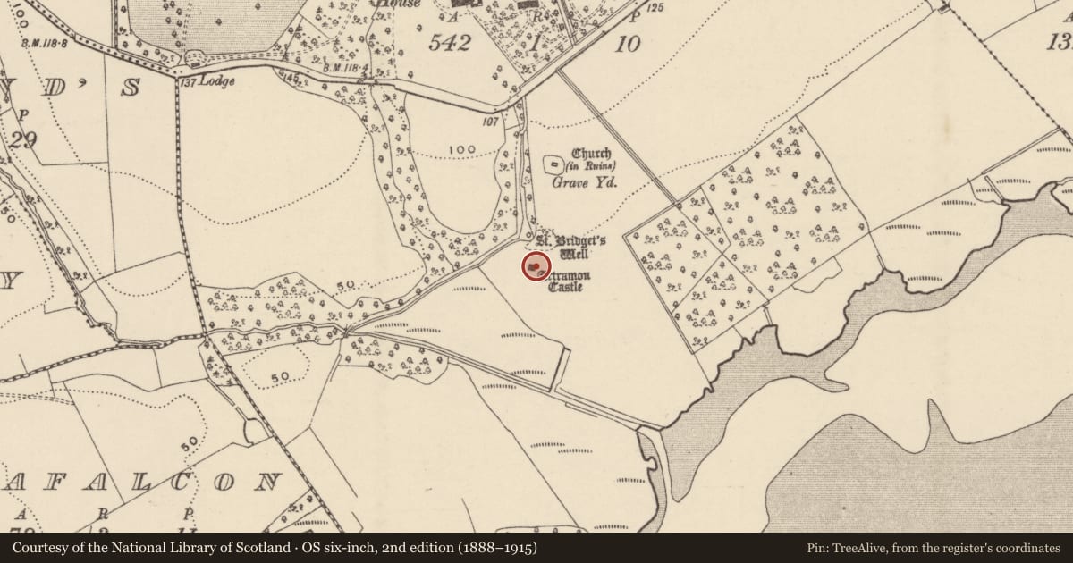 Ordnance Survey six-inch map, 2nd edition (1888–1915) covering the location of Castle - tower house, Artramon, County Wexford, with a pin at the register's coordinates