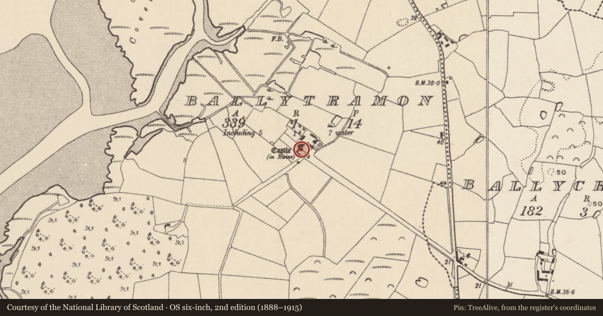 Ordnance Survey six-inch map, 2nd edition (1888–1915) covering the location of Castle - unclassified, Ballytramon, County Wexford, with a pin at the register's coordinates