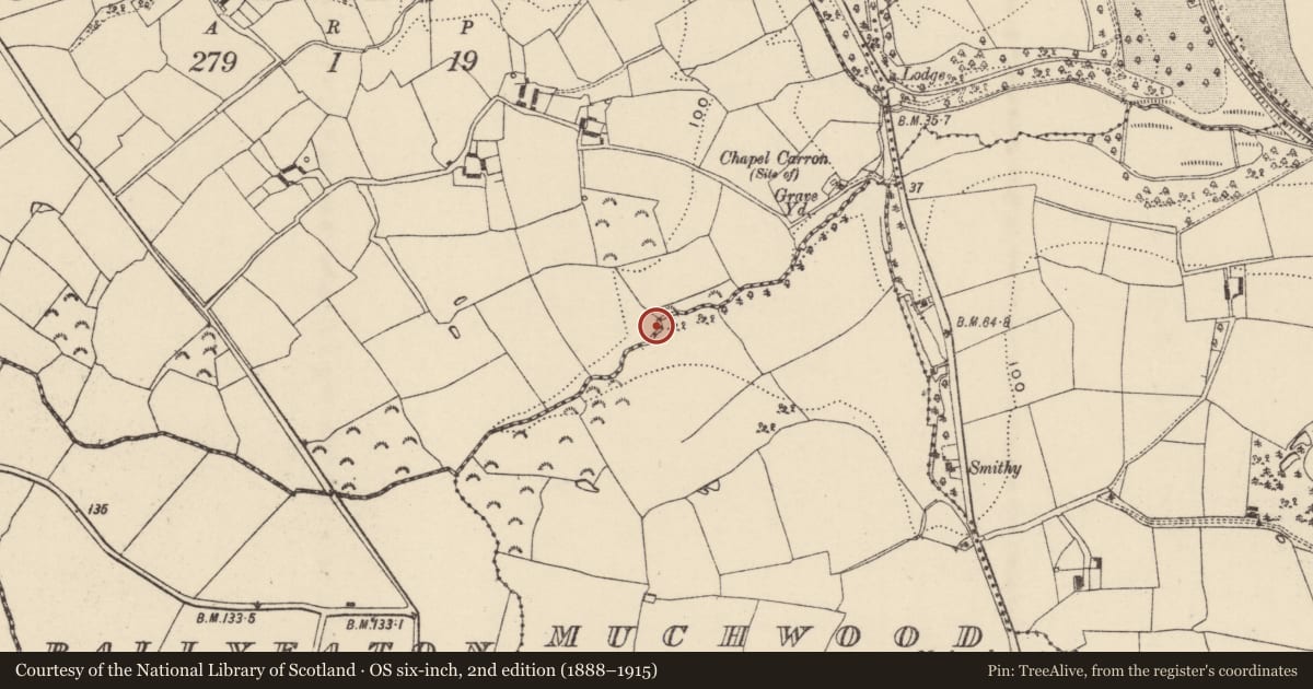 Ordnance Survey six-inch map, 2nd edition (1888–1915) covering the location of Ritual site - holy well, Bolabaun, County Wexford, with a pin at the register's coordinates
