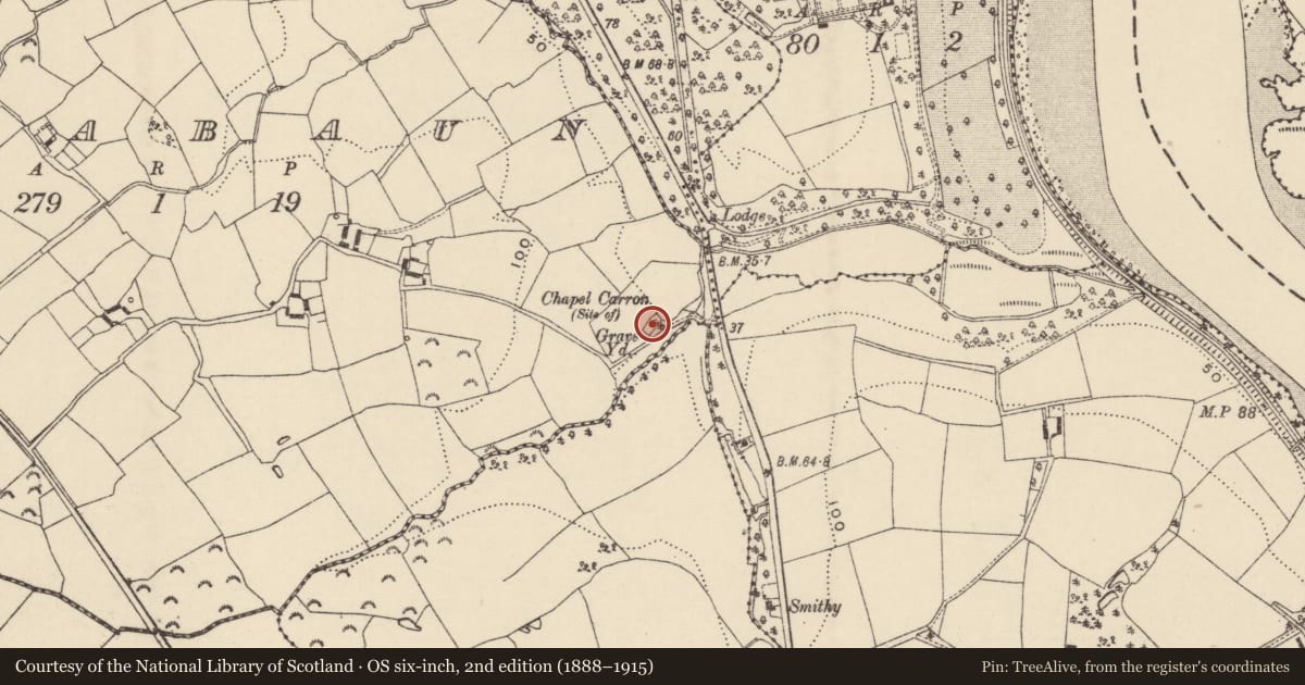 Ordnance Survey six-inch map, 2nd edition (1888–1915) covering the location of Graveyard, Bolabaun, County Wexford, with a pin at the register's coordinates