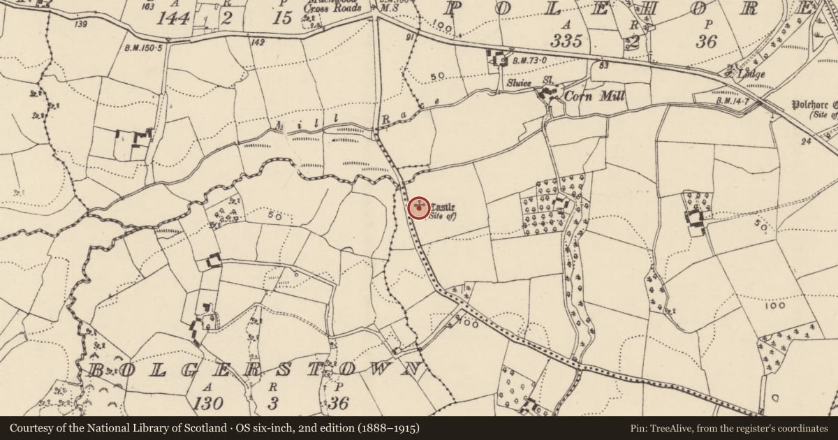 Ordnance Survey six-inch map, 2nd edition (1888–1915) covering the location of Castle - unclassified, Polehore, County Wexford, with a pin at the register's coordinates