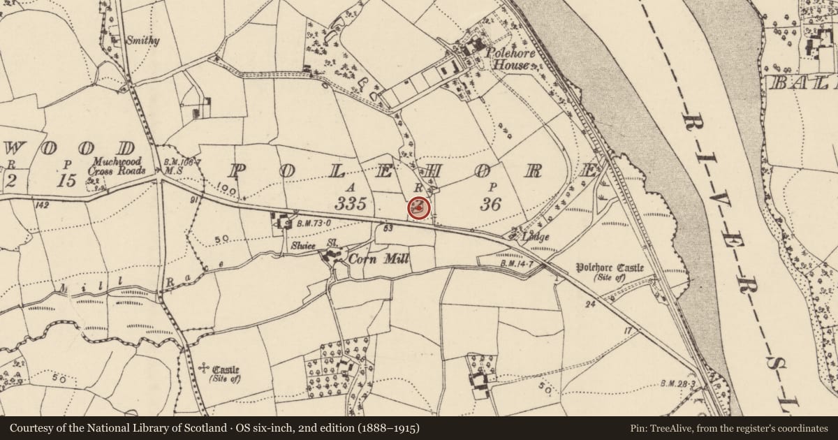 Ordnance Survey six-inch map, 2nd edition (1888–1915) covering the location of Ringfort - rath, Polehore, County Wexford, with a pin at the register's coordinates