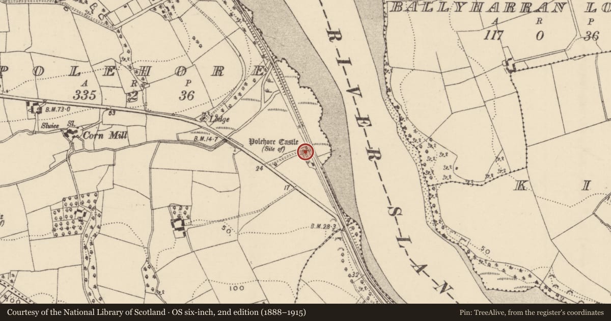 Ordnance Survey six-inch map, 2nd edition (1888–1915) covering the location of Castle - unclassified, Polehore, County Wexford, with a pin at the register's coordinates