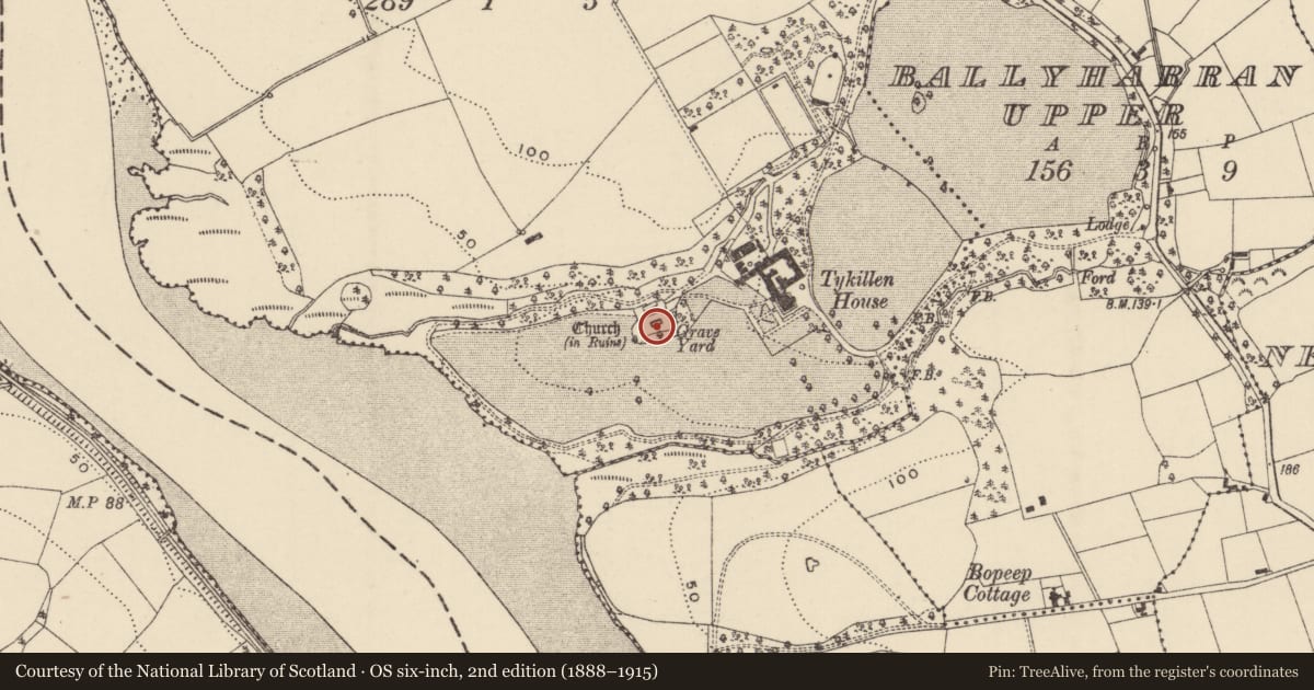 Ordnance Survey six-inch map, 2nd edition (1888–1915) covering the location of Church, Tikillin, County Wexford, with a pin at the register's coordinates