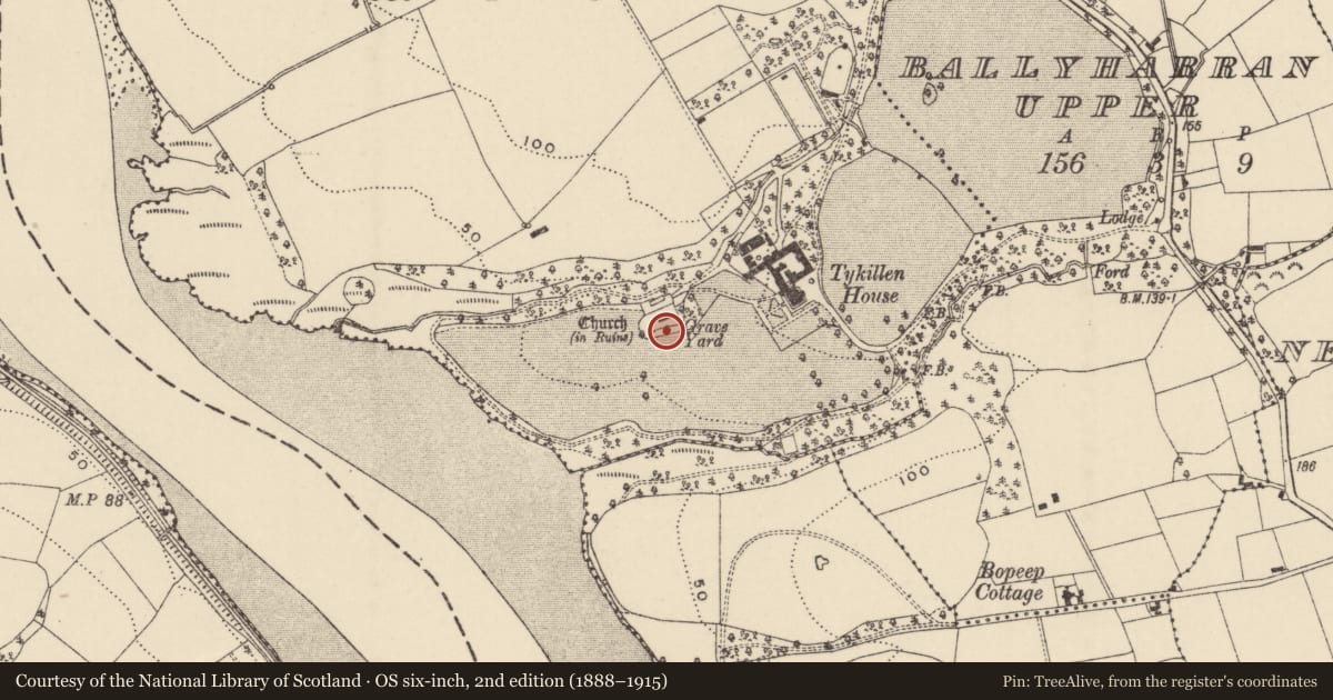 Ordnance Survey six-inch map, 2nd edition (1888–1915) covering the location of Graveyard, Tikillin, County Wexford, with a pin at the register's coordinates