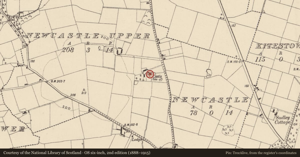 Ordnance Survey six-inch map, 2nd edition (1888–1915) covering the location of Castle - unclassified, Newcastle Upper, County Wexford, with a pin at the register's coordinates