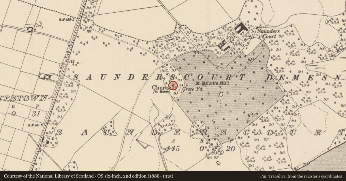 Ordnance Survey six-inch map, 2nd edition (1888–1915) covering the location of Cross - Churchyard cross, Saunderscourt, County Wexford, with a pin at the register's coordinates