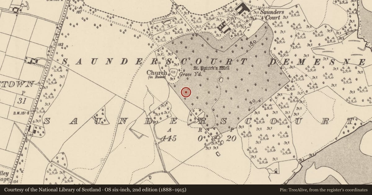 Ordnance Survey six-inch map, 2nd edition (1888–1915) covering the location of Road - road/trackway, Saunderscourt, County Wexford, with a pin at the register's coordinates