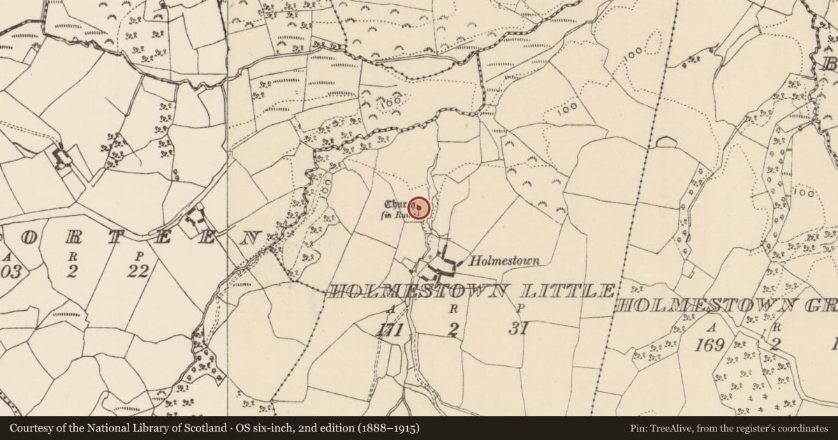 Ordnance Survey six-inch map, 2nd edition (1888–1915) covering the location of Church, Holmestown Little, County Wexford, with a pin at the register's coordinates