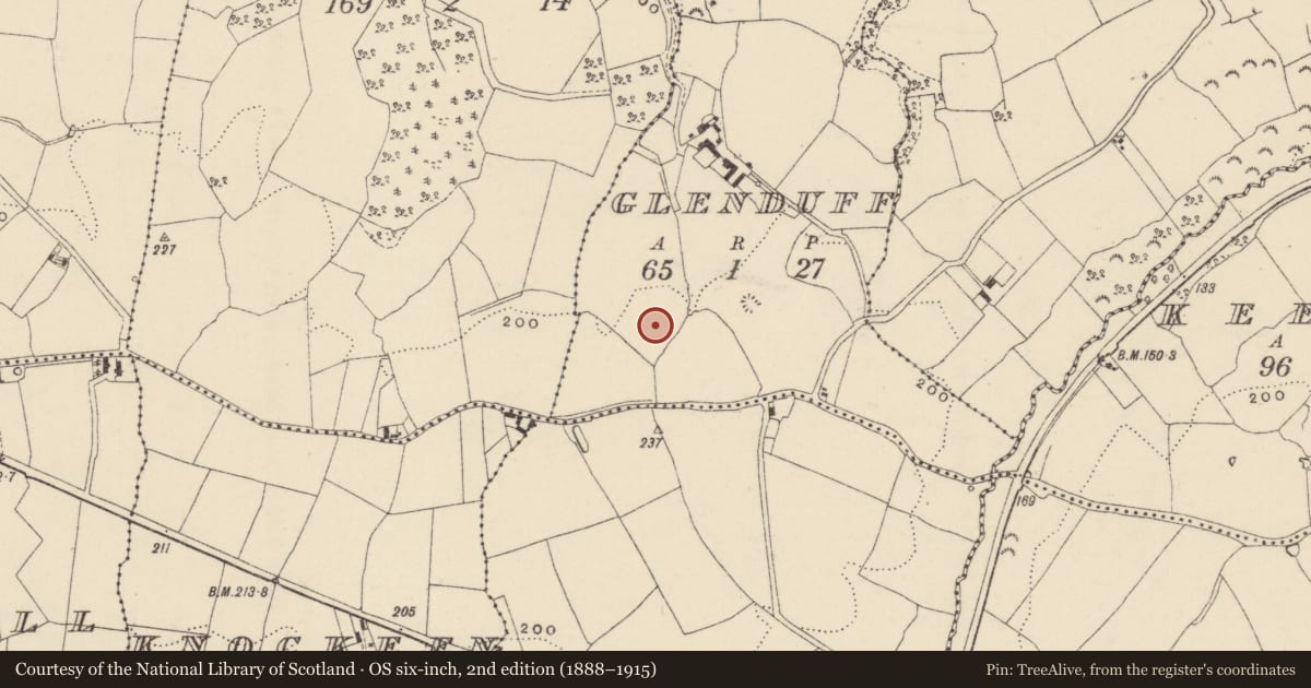 Ordnance Survey six-inch map, 2nd edition (1888–1915) covering the location of Ringfort - unclassified, Glenduff, County Wexford, with a pin at the register's coordinates