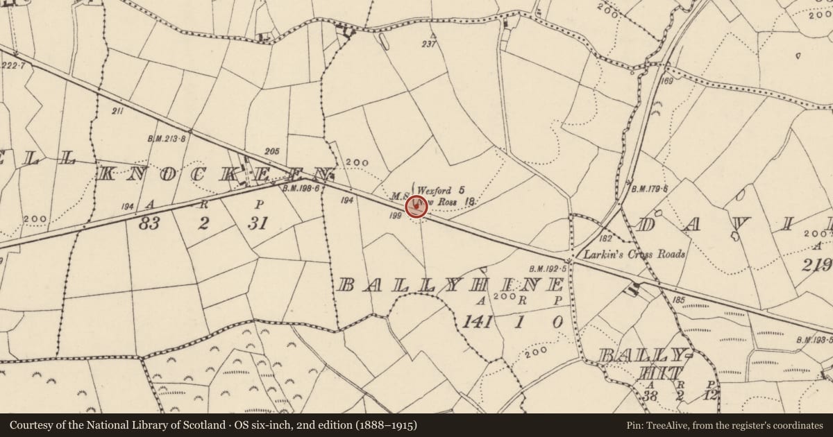 Ordnance Survey six-inch map, 2nd edition (1888–1915) covering the location of Church, Ballyhine, County Wexford, with a pin at the register's coordinates