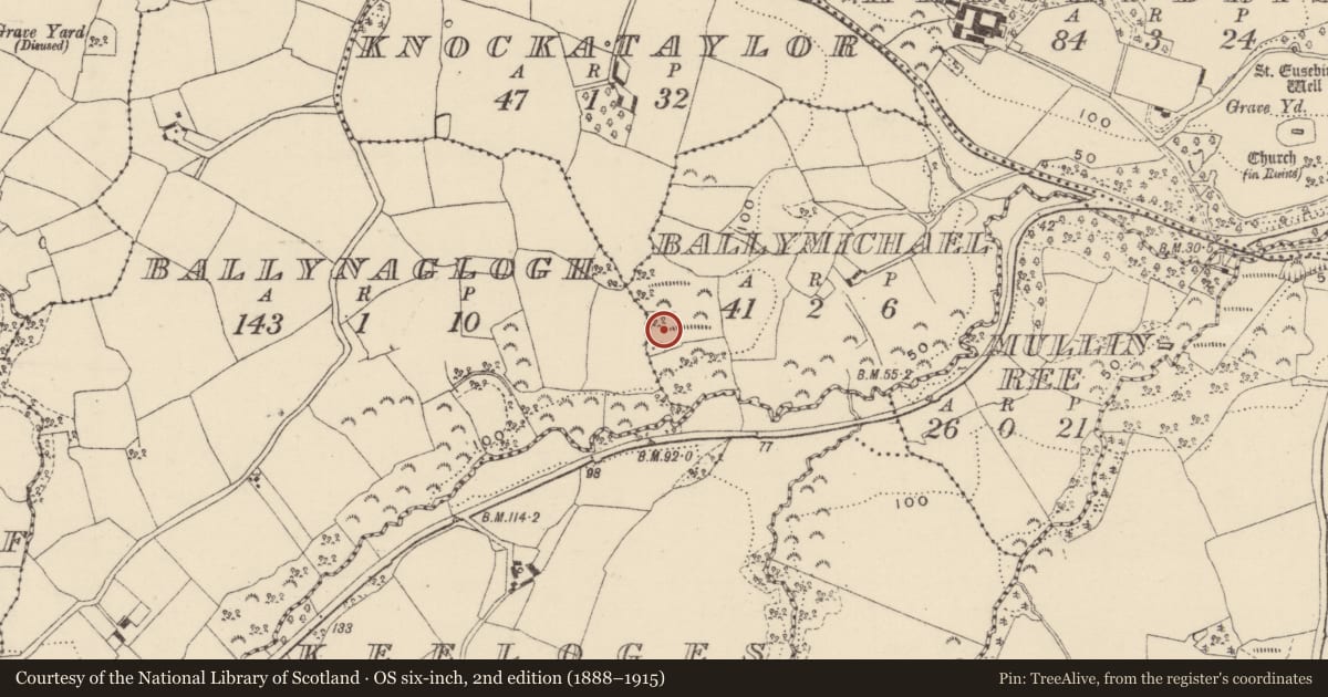 Ordnance Survey six-inch map, 2nd edition (1888–1915) covering the location of Moated site, Ballymichael, County Wexford, with a pin at the register's coordinates