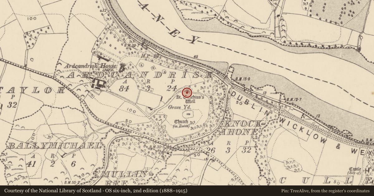 Ordnance Survey six-inch map, 2nd edition (1888–1915) covering the location of Ritual site - holy tree/bush, Ardcandrisk, County Wexford, with a pin at the register's coordinates