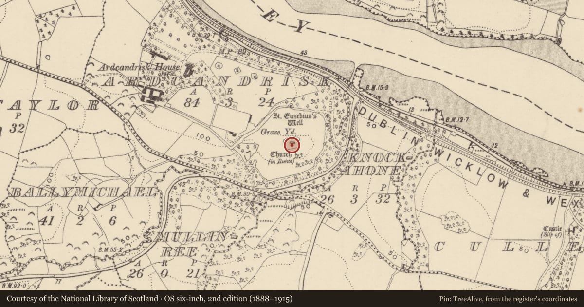 Ordnance Survey six-inch map, 2nd edition (1888–1915) covering the location of Church, Ardcandrisk, County Wexford, with a pin at the register's coordinates