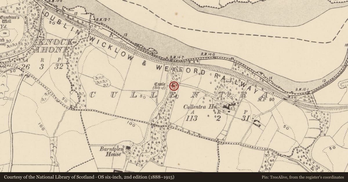Ordnance Survey six-inch map, 2nd edition (1888–1915) covering the location of Castle - unclassified, Cullentra, County Wexford, with a pin at the register's coordinates