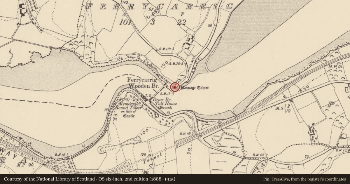 Ordnance Survey six-inch map, 2nd edition (1888–1915) covering the location of Castle - tower house, Ferrycarrig, County Wexford, with a pin at the register's coordinates