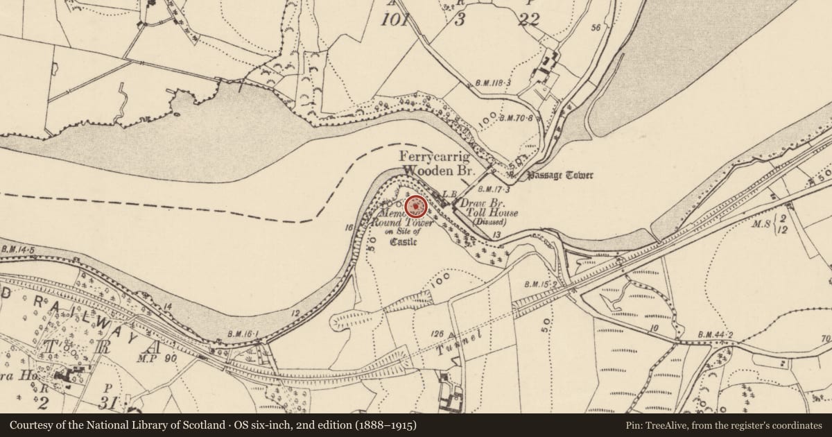 Ordnance Survey six-inch map, 2nd edition (1888–1915) covering the location of Monumental structure, Newtown, County Wexford, with a pin at the register's coordinates