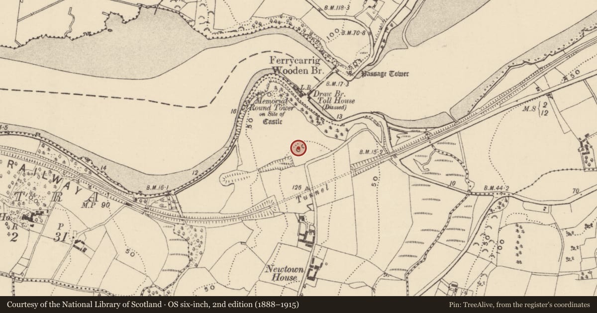 Ordnance Survey six-inch map, 2nd edition (1888–1915) covering the location of Historic town, Newtown, County Wexford, with a pin at the register's coordinates