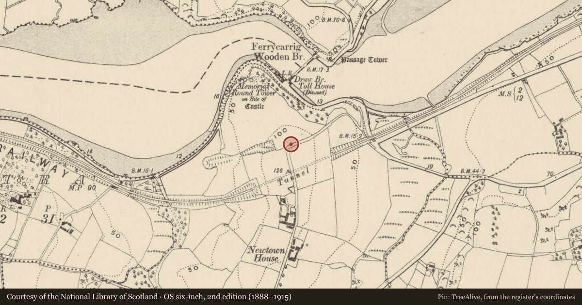Ordnance Survey six-inch map, 2nd edition (1888–1915) covering the location of Pit-burial, Newtown, County Wexford, with a pin at the register's coordinates