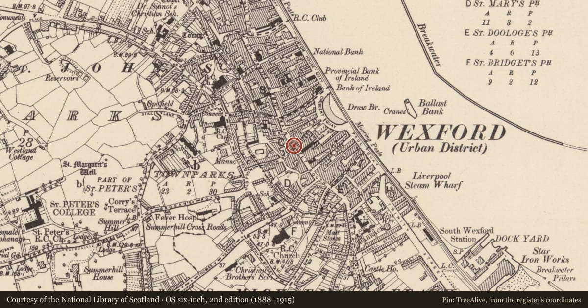 Ordnance Survey six-inch map, 2nd edition (1888–1915) covering the location of Historic town, County Wexford, with a pin at the register's coordinates