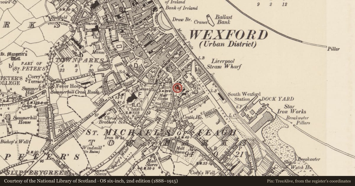 Ordnance Survey six-inch map, 2nd edition (1888–1915) covering the location of Castle - Anglo-Norman masonry castle, Townparks (St. Michael's of Feagh Par.), County Wexford, with a pin at the register's coordinates