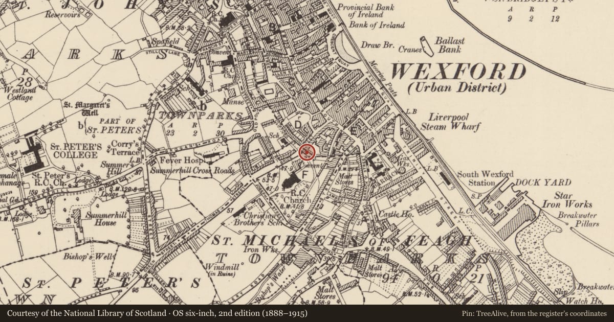 Ordnance Survey six-inch map, 2nd edition (1888–1915) covering the location of Town defences, Wexford, with a pin at the register's coordinates