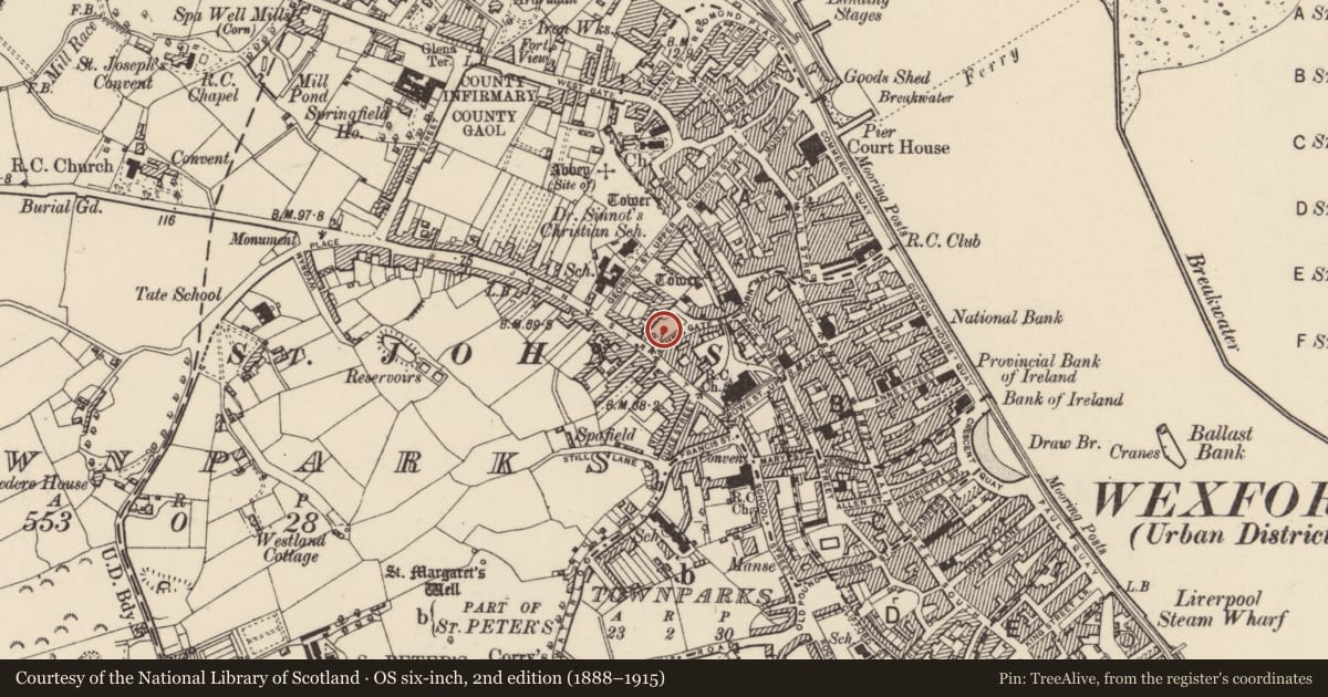 Ordnance Survey six-inch map, 2nd edition (1888–1915) covering the location of Church, Townparks (St. John's Par.), County Wexford, with a pin at the register's coordinates