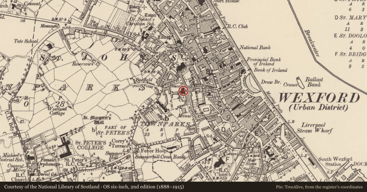 Ordnance Survey six-inch map, 2nd edition (1888–1915) covering the location of Religious house - Franciscan friars, Townparks (St. Peter's Par.) (Part of ), County Wexford, with a pin at the register's coordinates
