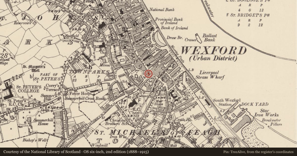 Ordnance Survey six-inch map, 2nd edition (1888–1915) covering the location of House - medieval, Wexford, with a pin at the register's coordinates