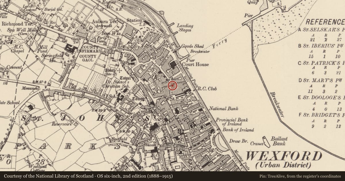 Ordnance Survey six-inch map, 2nd edition (1888–1915) covering the location of Excavation - miscellaneous, Wexford, with a pin at the register's coordinates