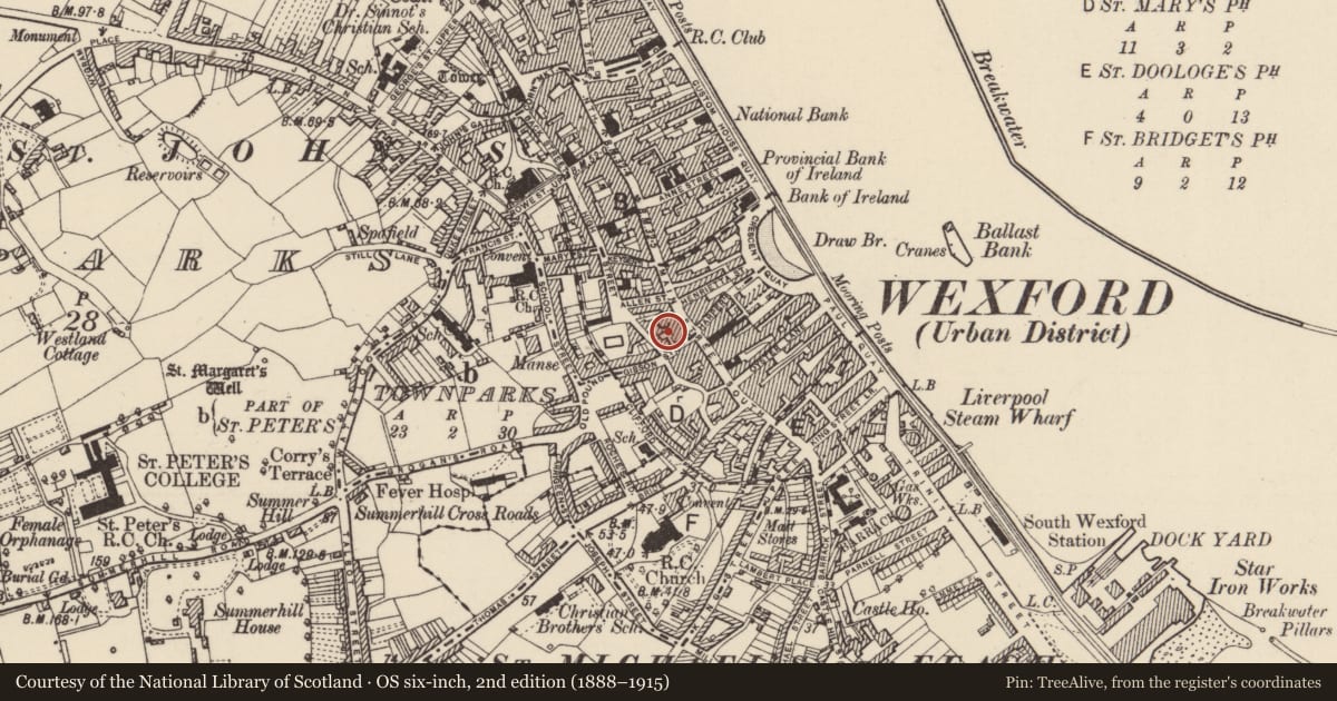 Ordnance Survey six-inch map, 2nd edition (1888–1915) covering the location of Excavation - miscellaneous, Wexford, with a pin at the register's coordinates