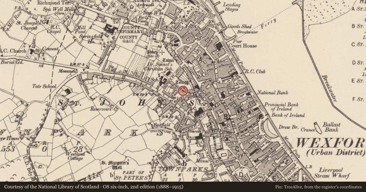 Ordnance Survey six-inch map, 2nd edition (1888–1915) covering the location of Field boundary, Townparks (St. John's Par.), County Wexford, with a pin at the register's coordinates