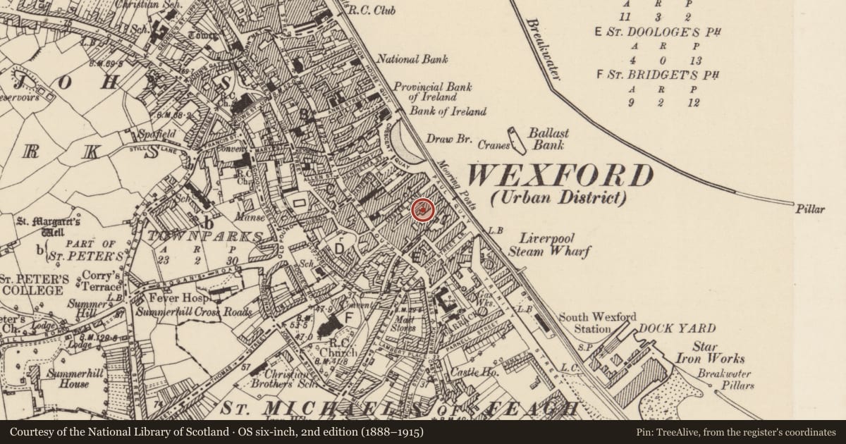 Ordnance Survey six-inch map, 2nd edition (1888–1915) covering the location of Quay, Wexford, with a pin at the register's coordinates