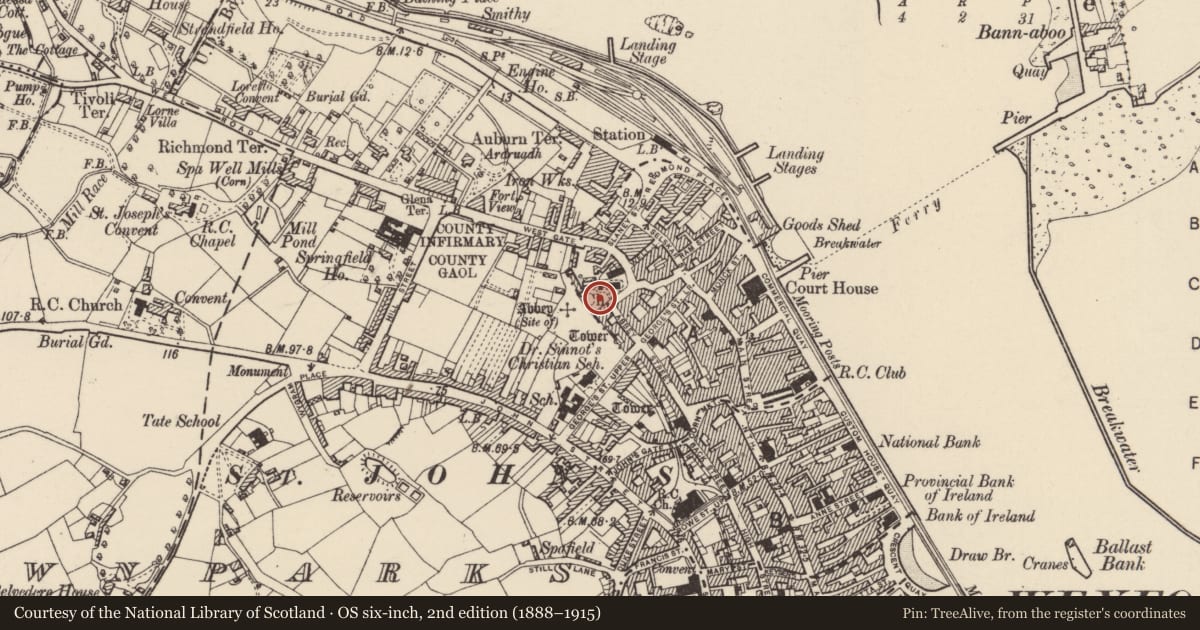 Ordnance Survey six-inch map, 2nd edition (1888–1915) covering the location of Graveyard, Wexford, with a pin at the register's coordinates
