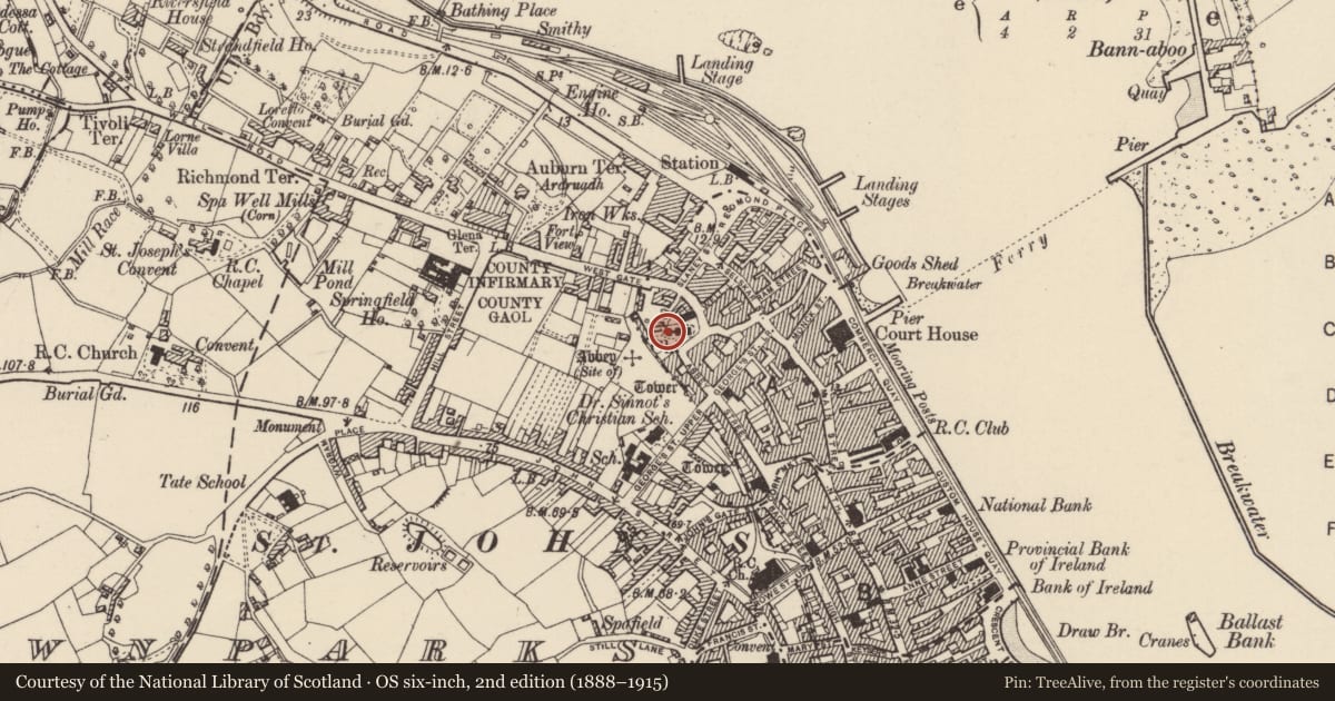Ordnance Survey six-inch map, 2nd edition (1888–1915) covering the location of Graveslab, Wexford, with a pin at the register's coordinates